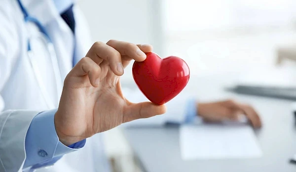 Heart and vascular system screening